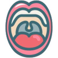 Oral Cancer