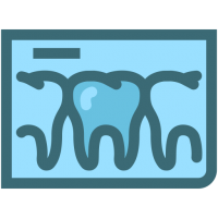 Oral Radiology